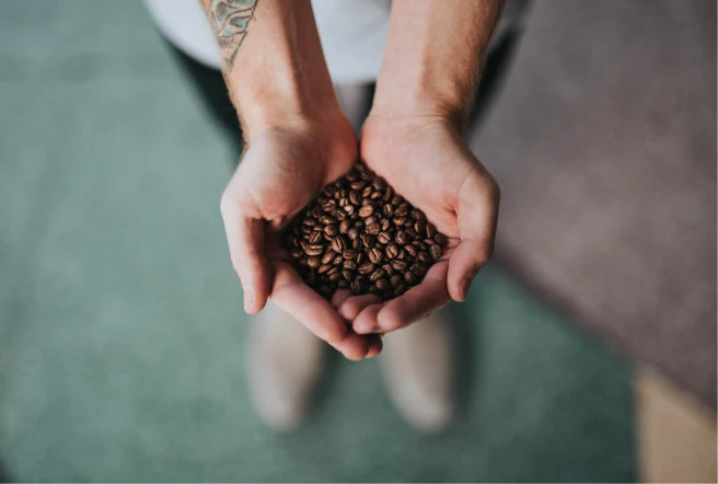 5 Mistakes to Avoid When Selecting a Coffee Supplier: Expert Insights by The Upton Group