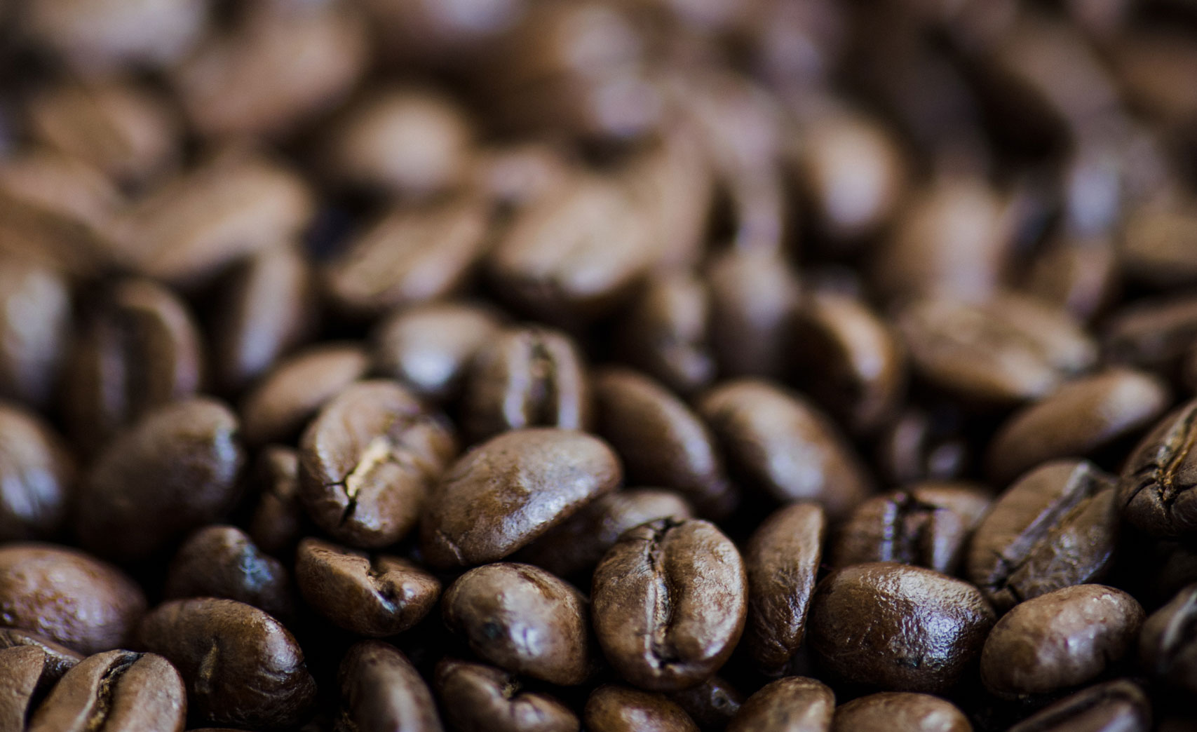 coffee suppliers near me harrogate