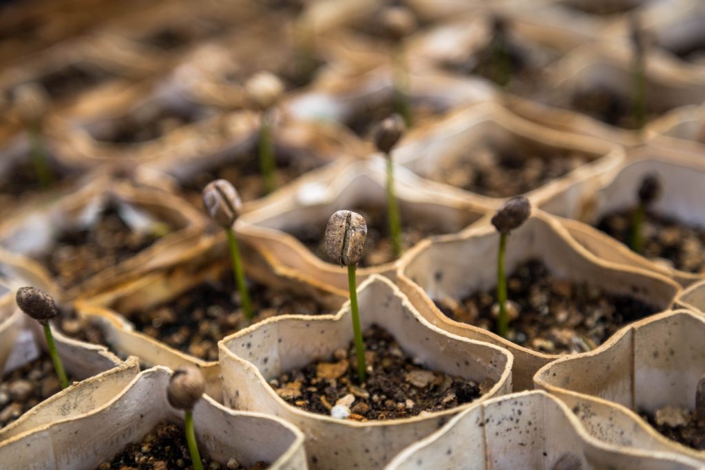 sustainability-1024x683